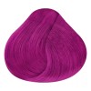 RBL 6 Piezas De Tinte Fantasía Para Cabello Rosa Rebelde