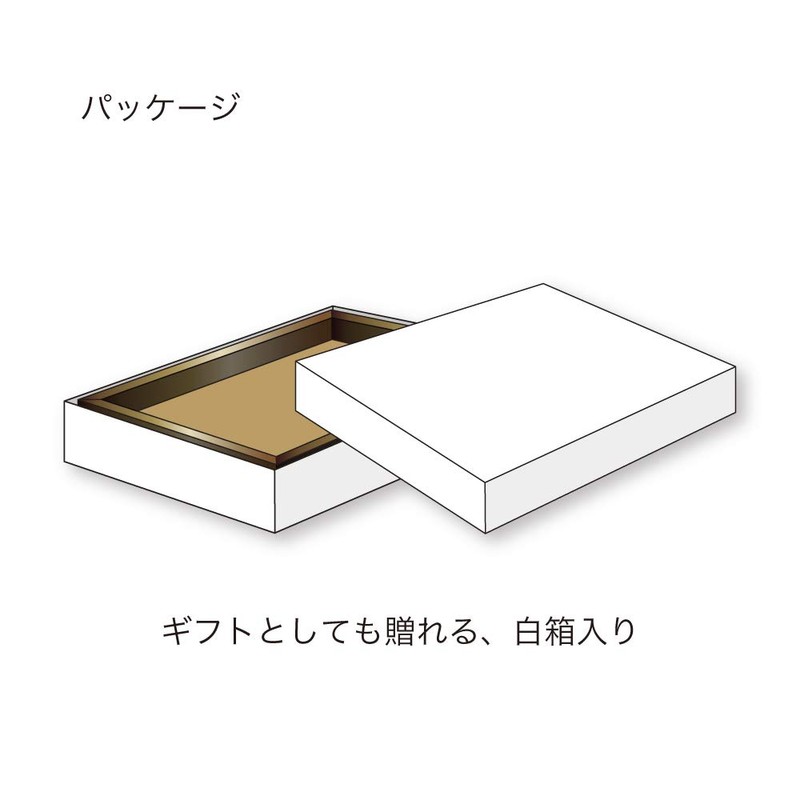 ナカバヤシ アンティコ インテリアフレーム KG ゴールド F-TP-102-GD