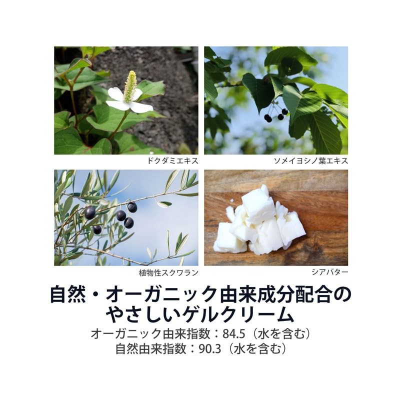 [Kenbi Mirai] RINGO GEL CREAM Apple Gel Cream All-in-One Gel