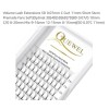 Quewel 7D Premade Volume Eyelashes Extension 0.07mm Russian Fan Individual