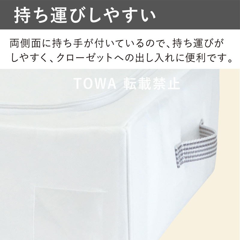 Towa Industries MSC 85691 Storage Bag, Gap Standing Storage, Closet,