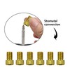 TORMEN Presta Valve Adaptors Convert Presta to Schrader for Bikes,