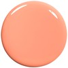 essie nail polish, rocky rose collection, glossy shine finish, set