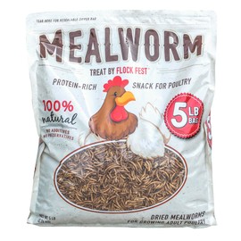Flock Fest Buffalo Outdoor Dried Mealworms for Chickens, Wild Birds, Ducks, and Small Pets, 5 Lbs Bag (2 pk)
