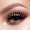 WILD CAT 3D LASH