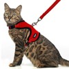 PUPTECK Cat Harness and Leash Set Escape Proof, Reflective Adjustable