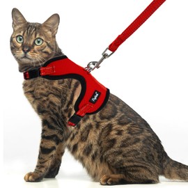 PUPTECK Cat Harness and Leash Set Escape Proof, Reflective Adjustable Soft Mesh Kitten Vest Harness for Walking Travel, Red, M