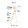 Sabrina GUNZE Shape, Beautiful, Tightening, Non-Conductive, Compression Stockings, Women's Feet,