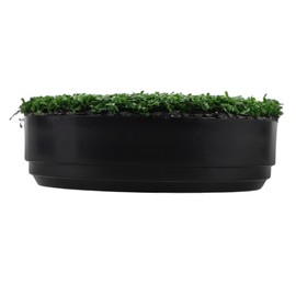 BESPORTBLE Golf Hole Cup Cover Golf Putting Hole Golf Hole Putting Cup Golf Tools Golf Putting Practice Golf Accessories Golf Practice Putting Accessories Putting Cup Indoor Green Plastic