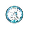 Pomada de Mentol Anlett 90g