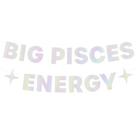 xo, Fetti Big Pisces Energy Birthday Party Iridescent Foil Banner - 5 Ft. | Zodiac Pisces, Horoscope, Astrology Bday Party Decorations Gift