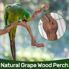 6-Piece Premium Bird Perch Stand with Natural Grape Wood Branch, Paw Grinding Fork, Chewing Stick, Cage Accessories for Parakeets, Budgies, Cockatiels, Finches, Lovebirds