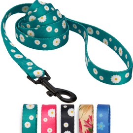 CollarDirect Floral Dog Leash Nylon Pattern Flower Print Adjustable Pet Leashes for Dogs Small Medium Large Puppy (S, Aquamarine)