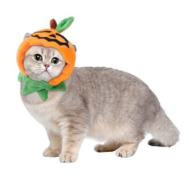 AZULDIMEN Mascota Halloween Vampiro Barón Capa, Festival Cosplay Túnica, Mascota Halloween Traje de Disfraces para Gatos pequeños, Perros, Animales, Cosplay (Sombrero de Calabaza)