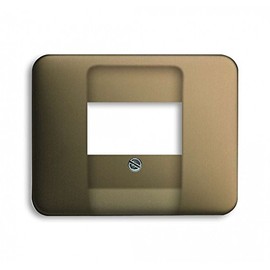 Busch-Jaeger 1766-21 Central Switch