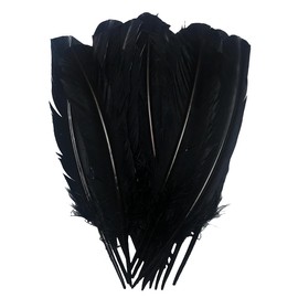 Black Turkey Feathers,Natural Big Long Feather,10-12 inches (25-30cm),Large Size Bilateral Feathers,Left and Right Wings for Crafts,Bulk 24PCS (Black Turkey)
