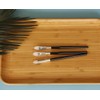 LORMAY 3 Pcs Silicone Eyeshadow and Lip Mask Makeup Brushes.
