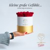 Amoroses Petite - Gift Box 5 Eternal Stabilised Roses -