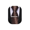 Barry.Wang Brown Ties for Men Silk Plaid Necktie and Tie