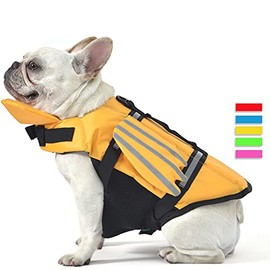 Dog Life Jacket, Wings Design Pet Life Vest, Dog Flotation Lifesaver Preserver Swimsuit with Handle for Swim, Pool, Beach, Boating, for Puppy Small, Medium, Large Size Dogs