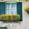 6Pcs Artificial Grass Fake Plants 17.3in 16 Leaves Outdoor Fake Grass UV Resistant Greenery Plastic Plants for Home Window Garden Office Patio Hanging Planter Pathway Front Porch Décor:_6PCS/Yellow_6 Pcs