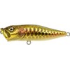 Megabass Bass Lure POP-X Dragon Fish G (Limited Color)