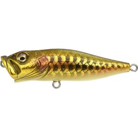 Megabass Bass Lure POP-X Dragon Fish G (Limited Color)