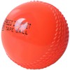 ADS Sports Wind Cricket Ball for Training & Coaching &