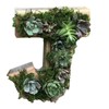 QUINTRA Decorative Wall Wooden Letters with Artificial Succulents Bryophytes Vertical