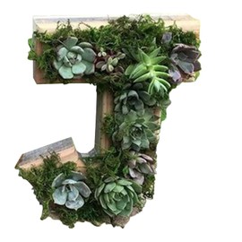 QUINTRA Decorative Wall Wooden Letters with Artificial Succulents Bryophytes Vertical Artificial Garden Pots Living Wall Art Flower Pots (J, One Size)