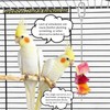SLWHYZL Bird Water Feeder Automatic Bird Water Dispenser - 140