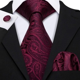 YOHOWA Burgundy Tie for Men with Tie Clip Paisley Silk Necktie Pocket Square Cufflinks Set Formal Business Wedding Party