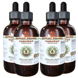Caraway Alcohol-Free Liquid Extract, Organic Caraway (Carum carvi) Dried Fruit Glycerite Hawaii Pharm Natural Herbal Supplement 4x4 oz