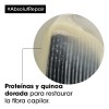 Kit Shampoo Mscara e leo LOral Professionnel Repair