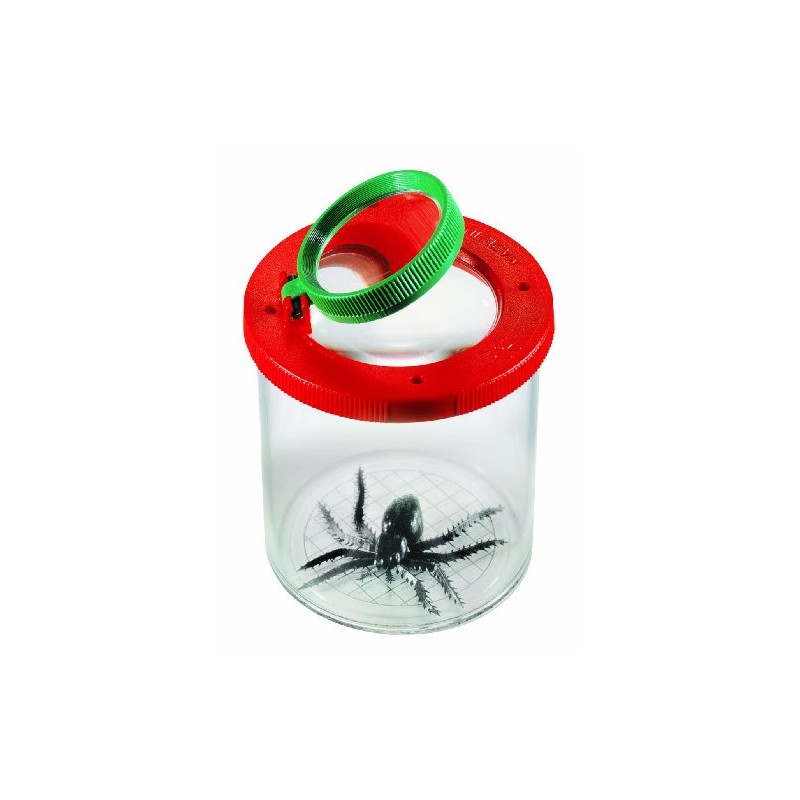 Educational Toys Barattolo Osserva Insetti