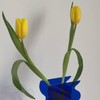 Vase,Modern Acrylic Shape Vase for Desktop Decoration (Blue)