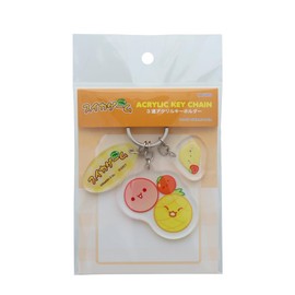 Sunstar Stationery Watermelon Game Key Holder, Acrylic, B Pattern S8347409