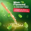 STIM-U-DENT - Plaque Removers, Value Pack, Mint, 8 pk -