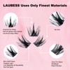 Lash Clusters Fluffy LAUBESS Eyelash Clusters Individual Lashes Mixed Cluster