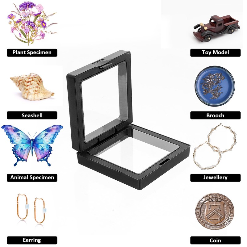 Gjinxi Seashell Display Box 2Pcs, Transparent Frame Seashell Display Case
