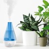 Pure Enrichment MistAire Studio Ultrasonic Cool Mist Humidifier - Compact
