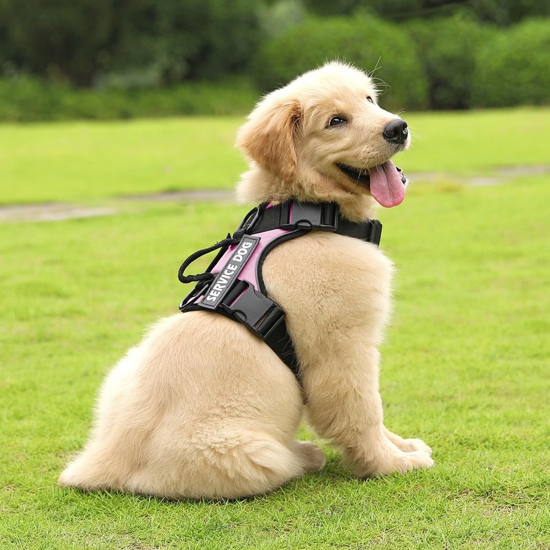 Belababy Dog Harness Small Medium Large, Reflective Tactical No Pull