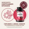 LIFE 360+ Maca Blend (Maca Negra, Amarilla y Roja)| 240