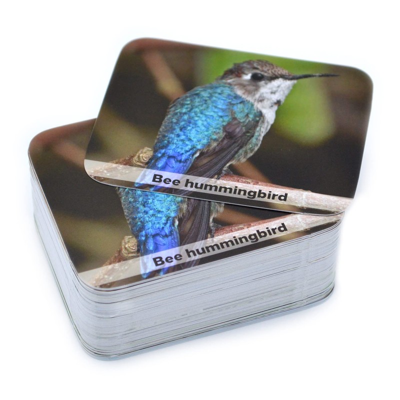 Menique. Juego de Memoria Animales Salvajes en Inglés. Memory Matching