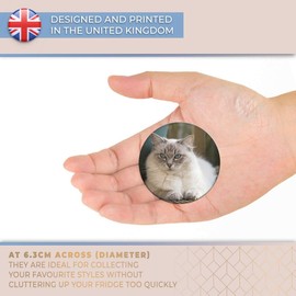 Destination Vinyl ltd Magnet for Refrigerator, Fridge - Ragdoll Cat Kitten Cats Cute for Office, Cabinet and Whiteboard, Magnetic Stickers, 2285