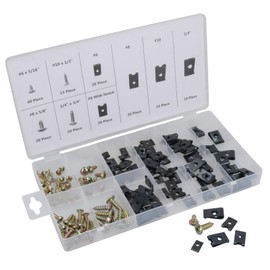 Screw And U Type Cushion Speed Clips Assortment Kit Fastener Trim Panel 170pcs