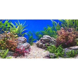 AWERT 30x18 inches Aquatic Plant Fish Tank Background Stone River Bed & Lake Aquarium Background Vinyl