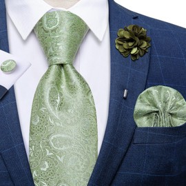 DiBanGu Silk Light Green Tie for Men Paisley Sage Green Tie set and Lapel Pin Brooch Woven Handkerchief Cufflinks Wedding Formal Business