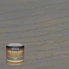 Minwax PolyShades Semi-Transparent Satin Slate Oil-Based Stain/Polyurethane Finish 0.5 pt