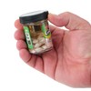 Berkley Gulp! Alive! Stonefly Fishing Soft Bait